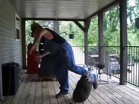 YouTube